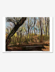 A pastel drawing of a woodland in winter.