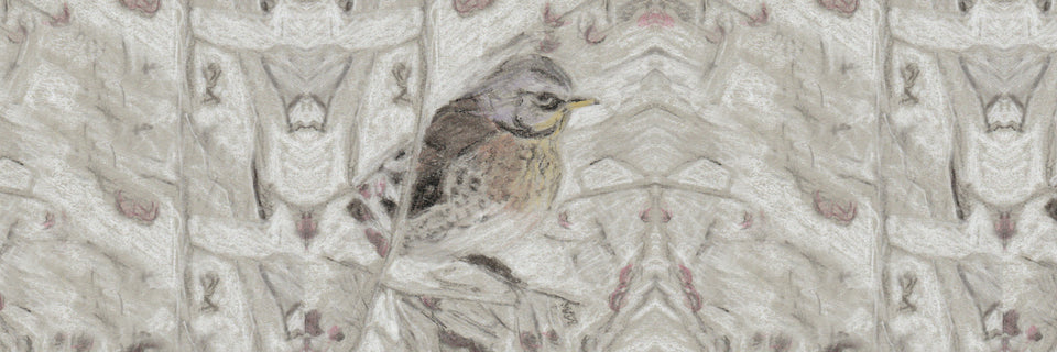 a pencil design of a fieldfare in winter foliage