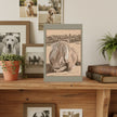 Goldie the Palomino Greetings Card