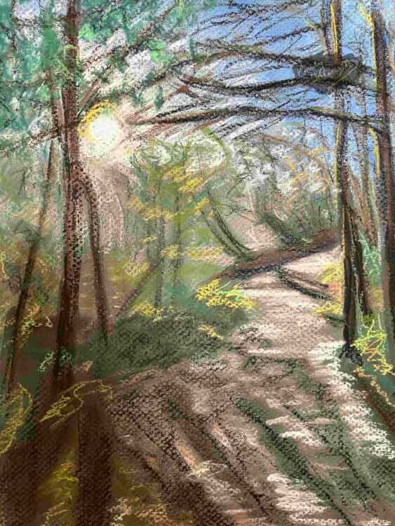 Pastel drawing of a path through bare trees and scrub with blue sky and sunshine