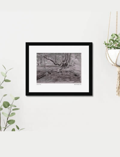A charcoal, chalk and green pencil drawing of a winter woodland scene.