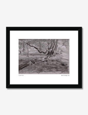 A charcoal, chalk and green pencil drawing of a winter woodland scene.