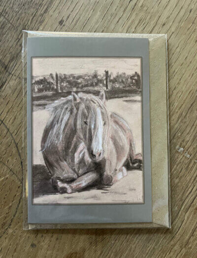Greetings card showing a charcoal, chalk and sienna picture of a pony.