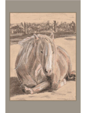 Goldie the Palomino greetings card