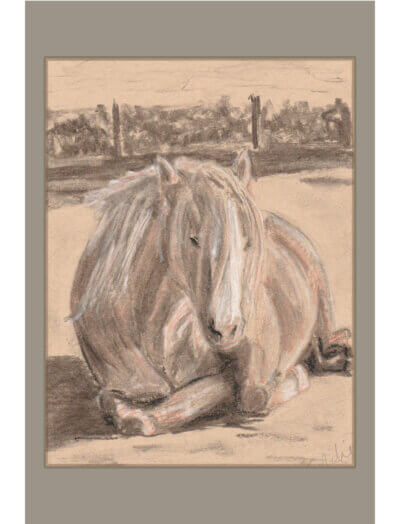 Greetings card showing a charcoal, chalk and sienna picture of a pony.