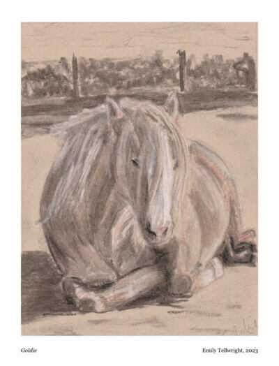 Goldie art print by Emily Tellwright