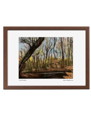 Winter Woodland Framed Art Print