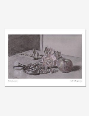 Charcoal, chalk and coloured pencil drawing of roses, an apple, nuts and a nutcracker.