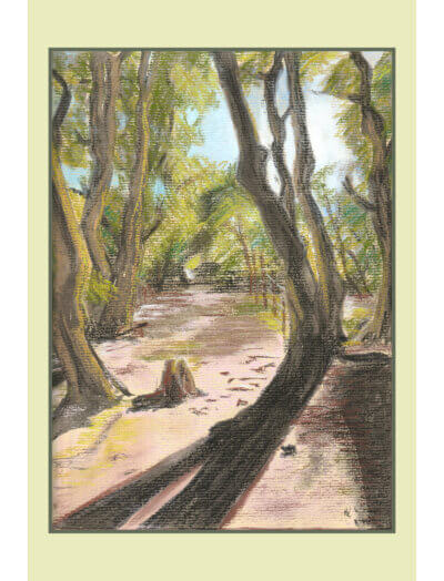 Path After Lines pastel painting by Emily Tellwright