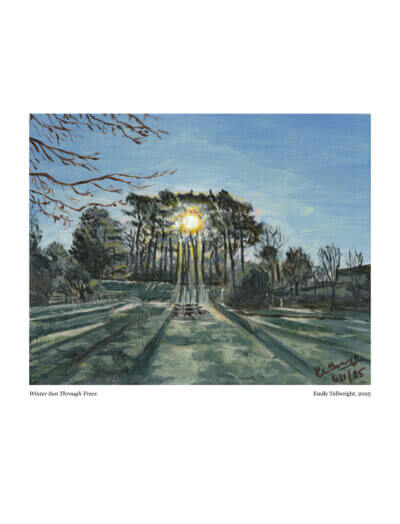 Winter Sun Through trees art print by emily Tellwright