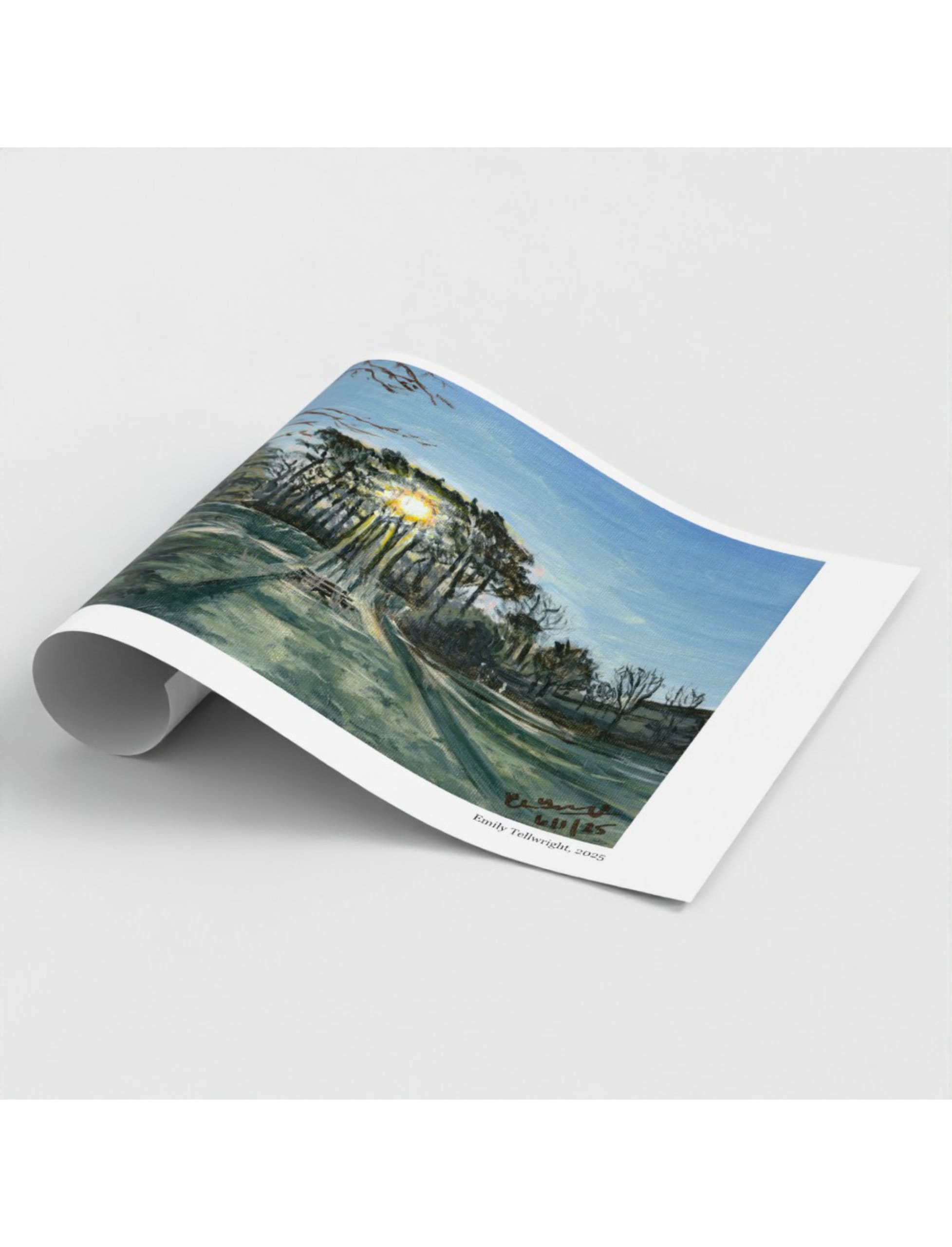 Winter Sun Through Trees Art Print shown rolled