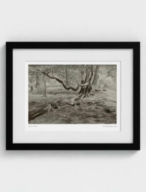 Turner's View Framed Art Print