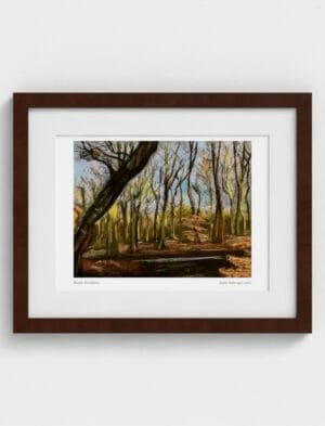 Winter Woodland Framed Art Print