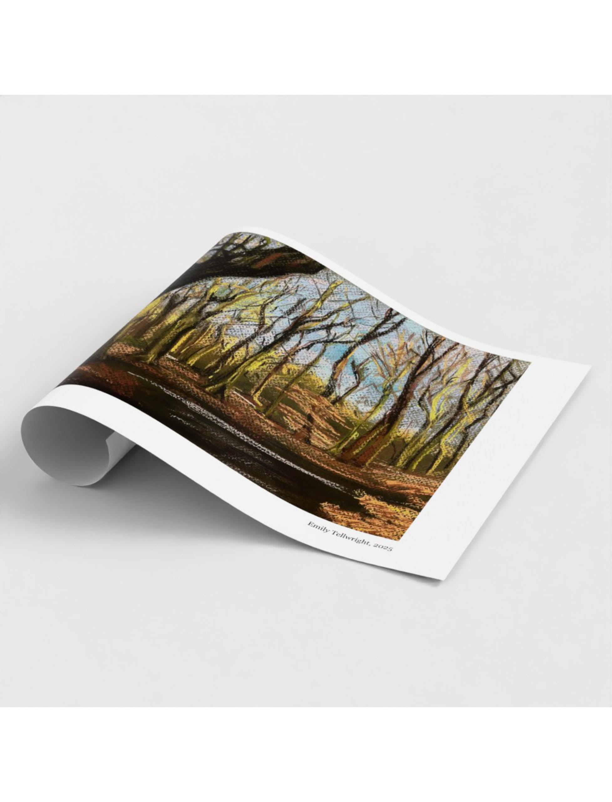 Winter Woodland Art Print