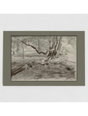 Turners View Greetings Card