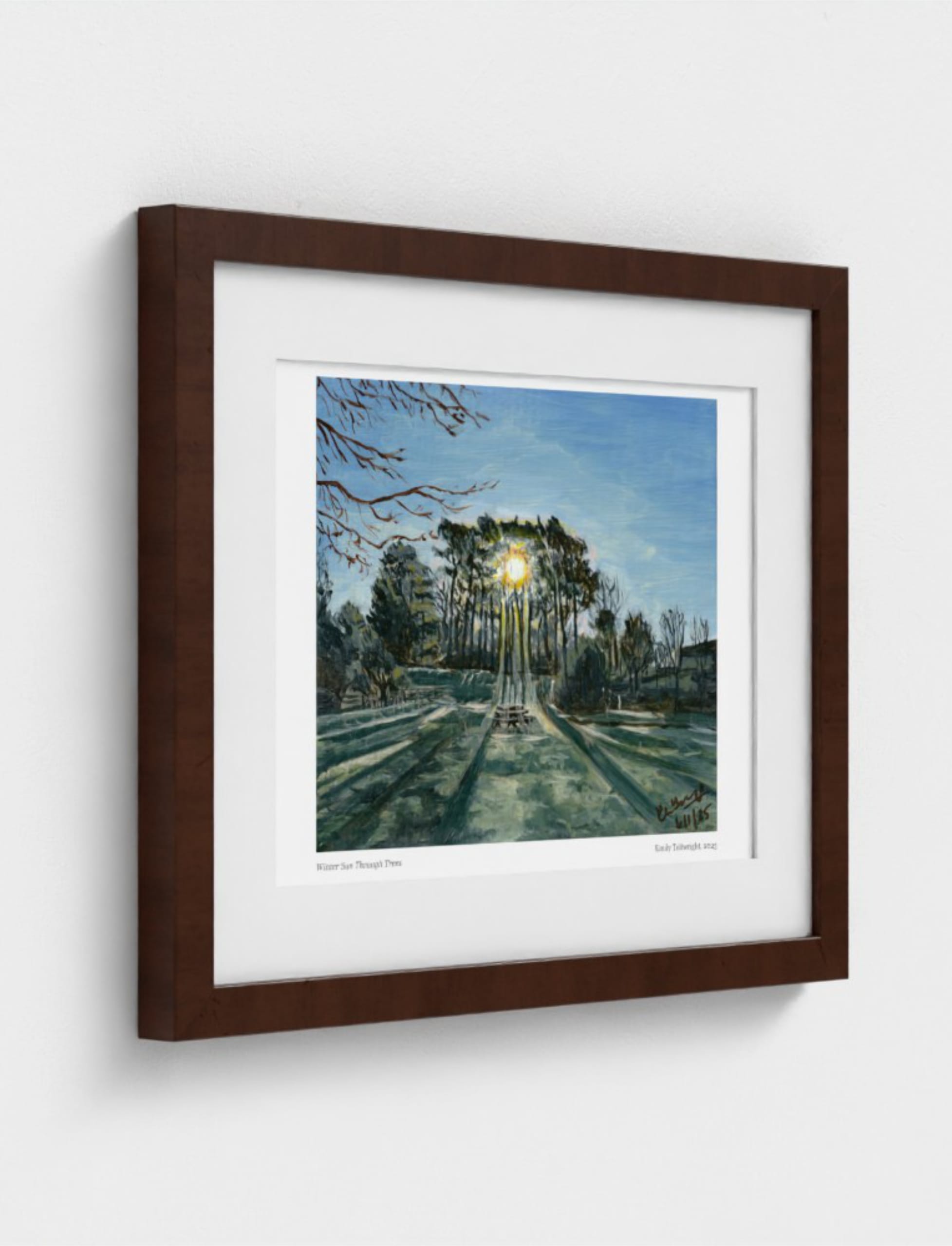 Winter Sun Through Trees Framed Art Print