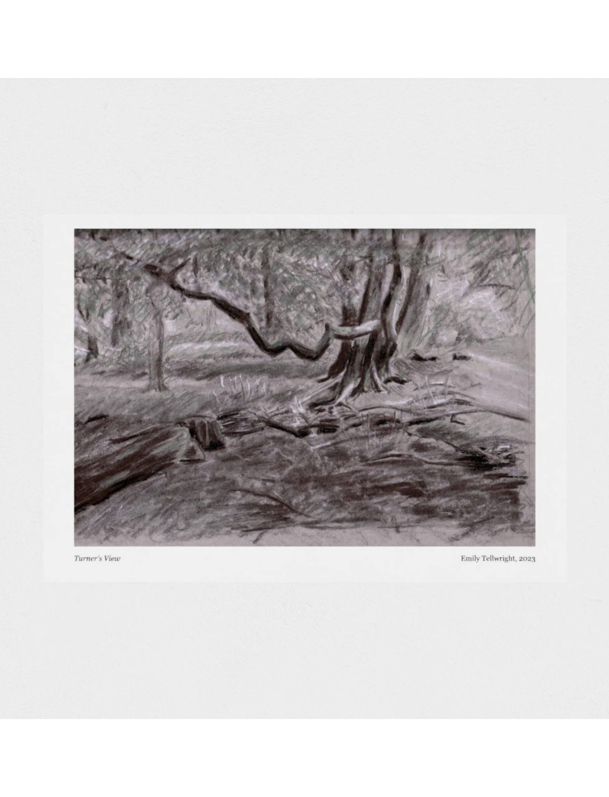 Turner's View Art Print