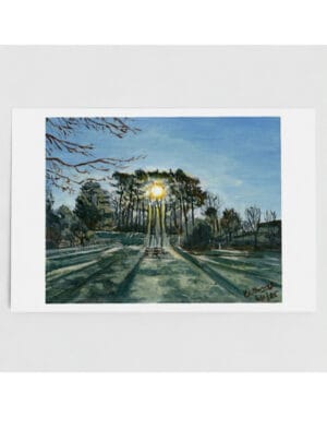 Winter Sun Through Trees Greetings Card