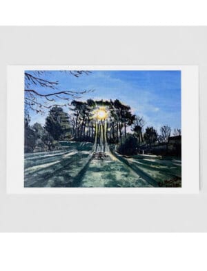 Winter Sun Through Trees greetings card