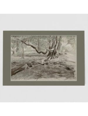 Turner's View Greetings Card