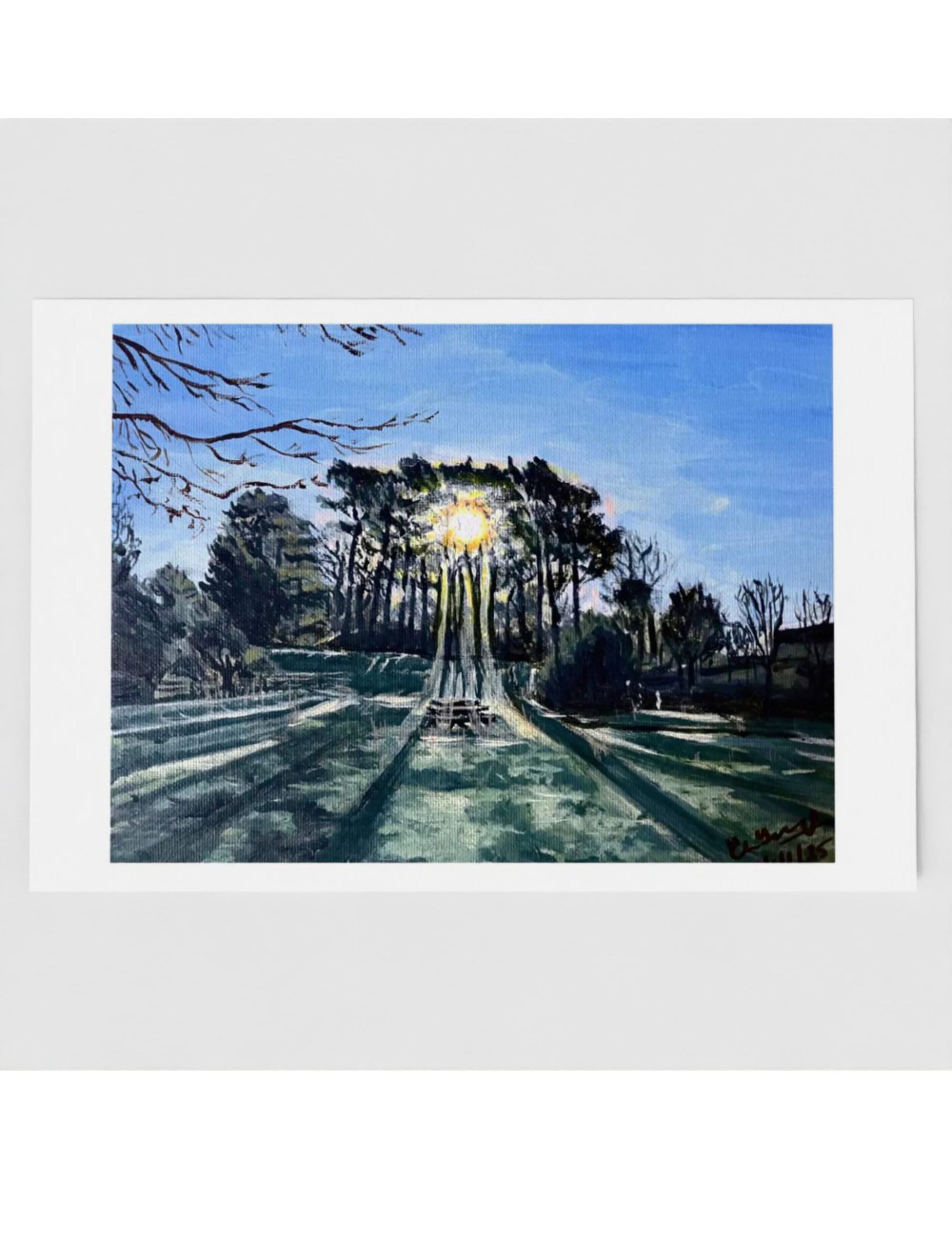 Winter Sun Through Trees greetings card