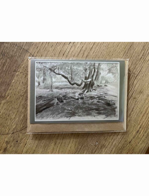 A charcoal, chalk and green pencil drawing of a winter woodland scene.