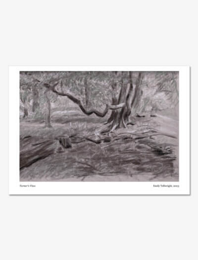 A charcoal, chalk and green pencil drawing of a winter woodland scene.
