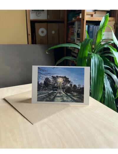 Winter Sun Through Trees GReetings card