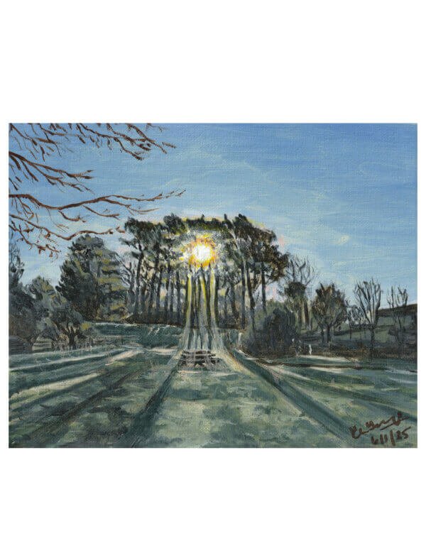 Greetings card showing an acrylic painting of sun shining through pine trees