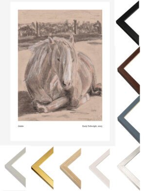 Art Print with a selection of frame colours