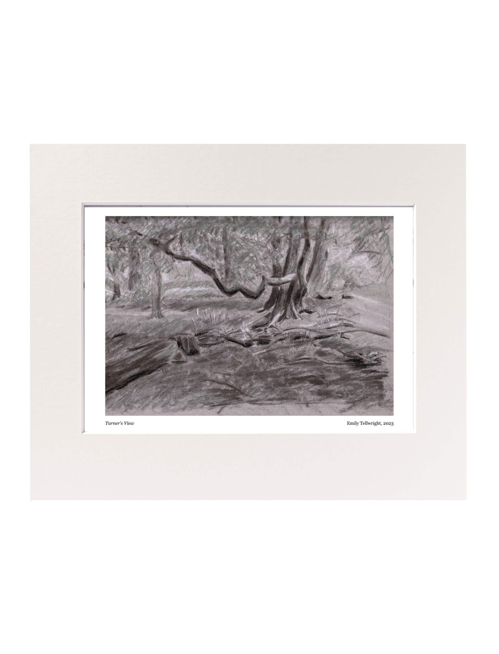 Turner's View art Print mounted