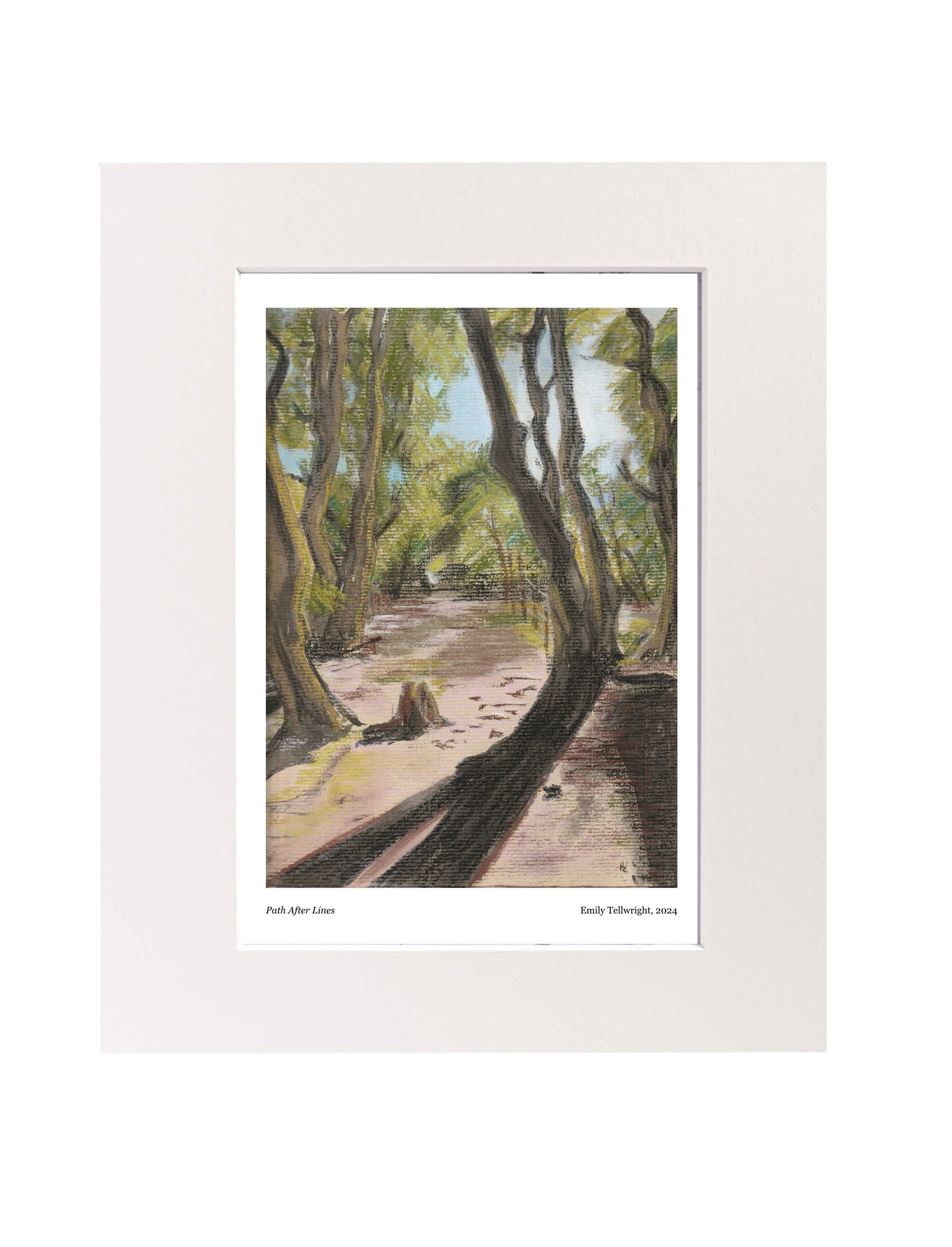 Path after lines art print mounted