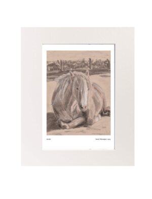 Goldie the palomino mounted art print