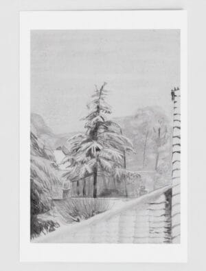 A drawing of a fir tree in the snow