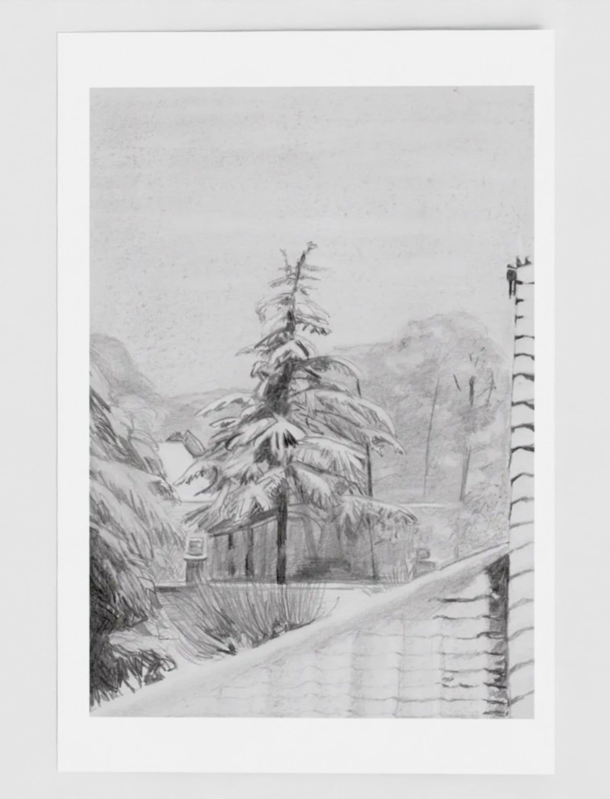 A drawing of a fir tree in the snow
