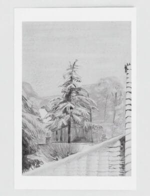 Snowy fir Tree Greetings Card