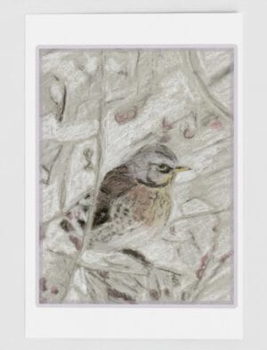 Winter Bird Christmas Card