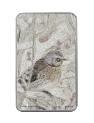 Winter Bird drawing on a storage tin