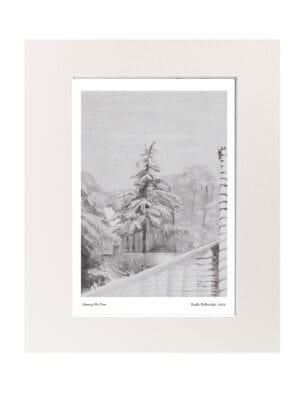 Snowy Fir Tree Mounted Art Print