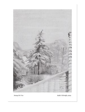 Snowy Fir Tree Art Print