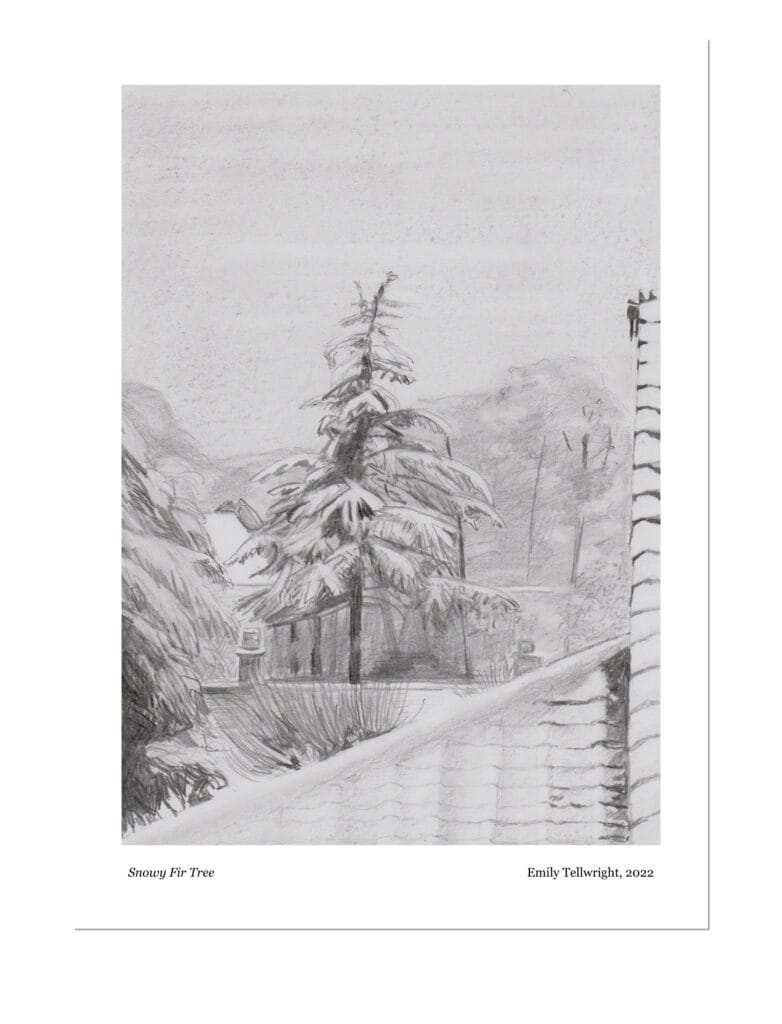 Snowy Fir Tree Art Print, part of the winter art collection