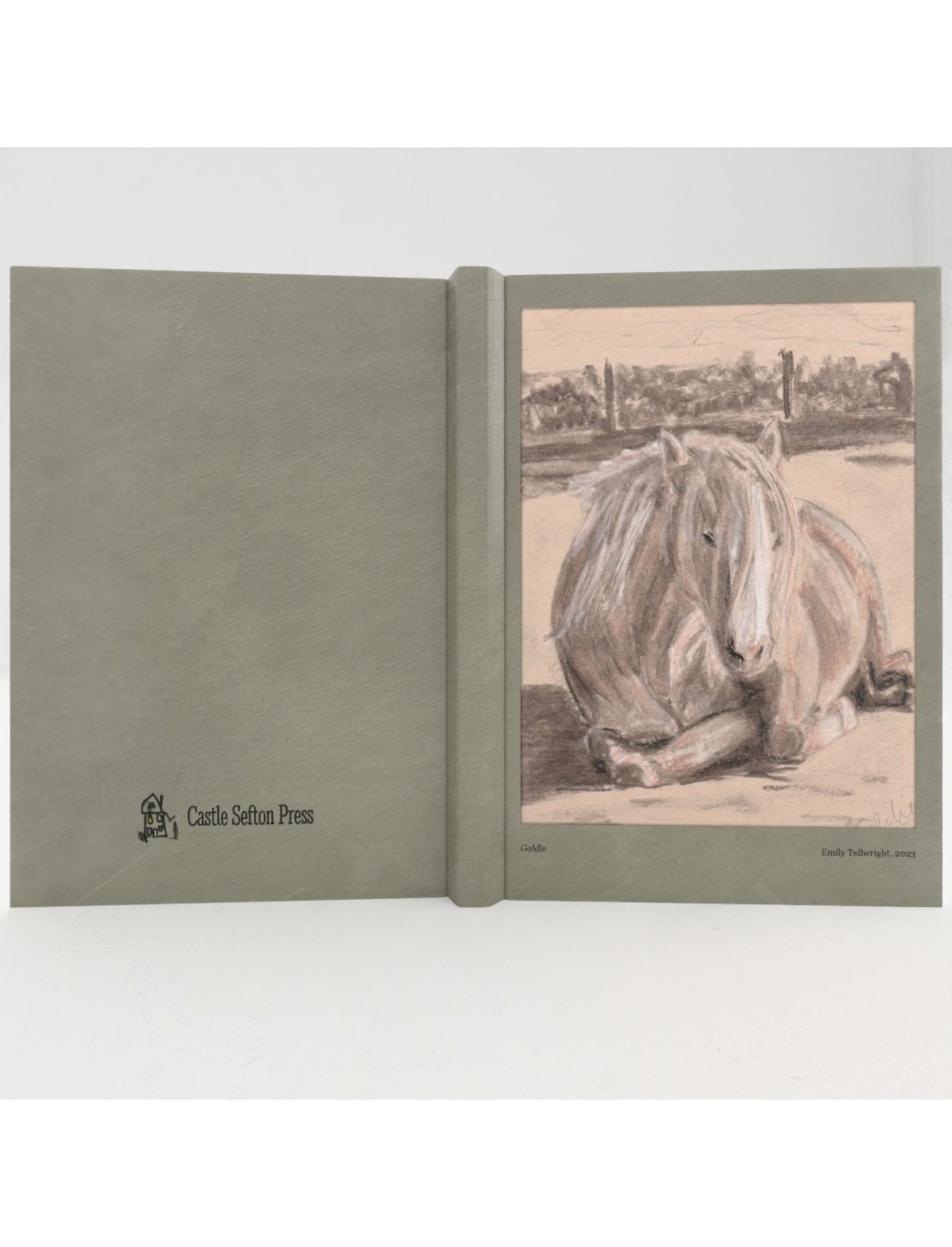 Goldie the Palomino hardback Notebooks