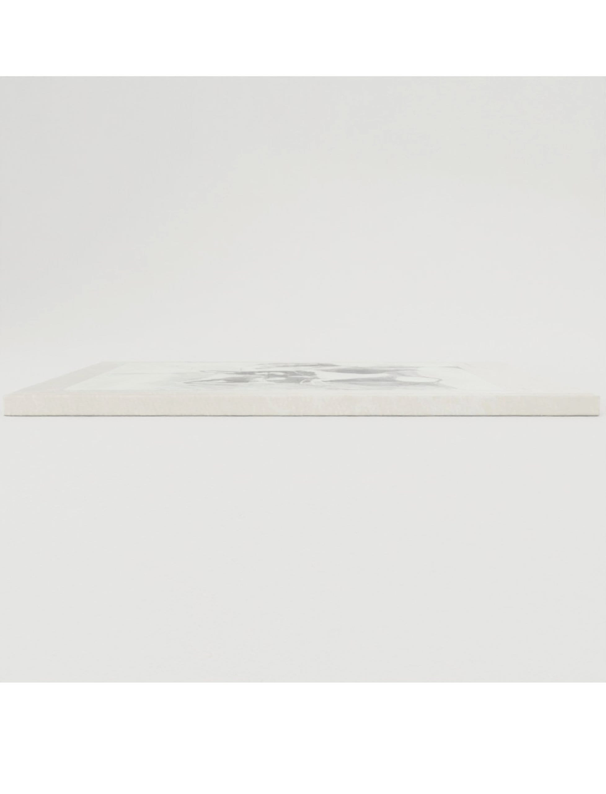 Edith the Cat Hardback notebooks