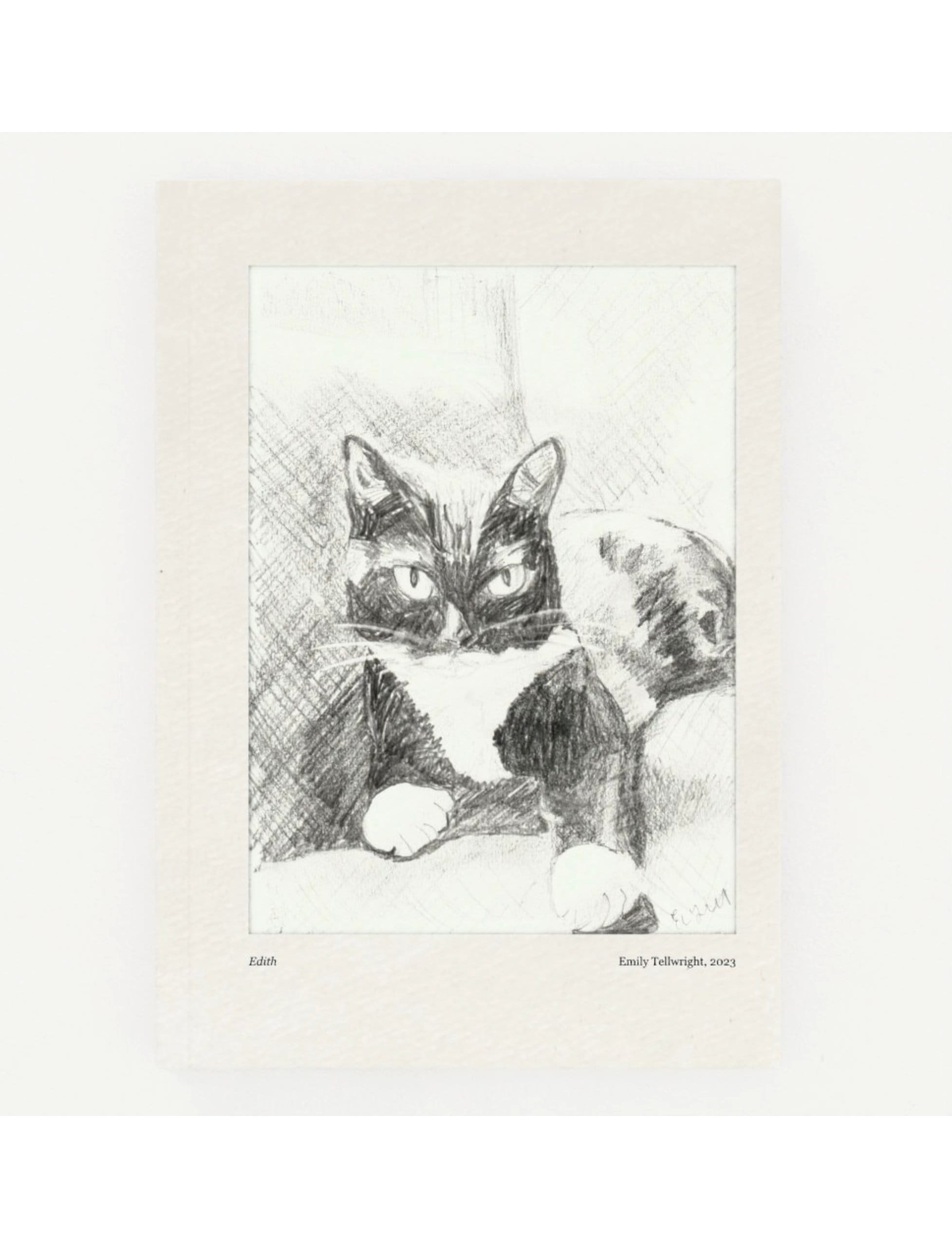 Edith the Cat Hardback notebooks