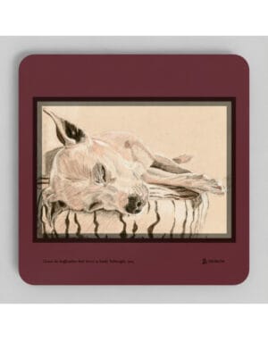 Chance the Staffordshire Bull Terrier Coasters showing a drawing by Emily Tellwright