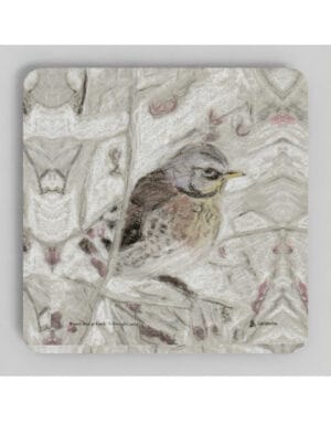 Winter Bird Coasters showing a pencil drawing by Emily Tellwright