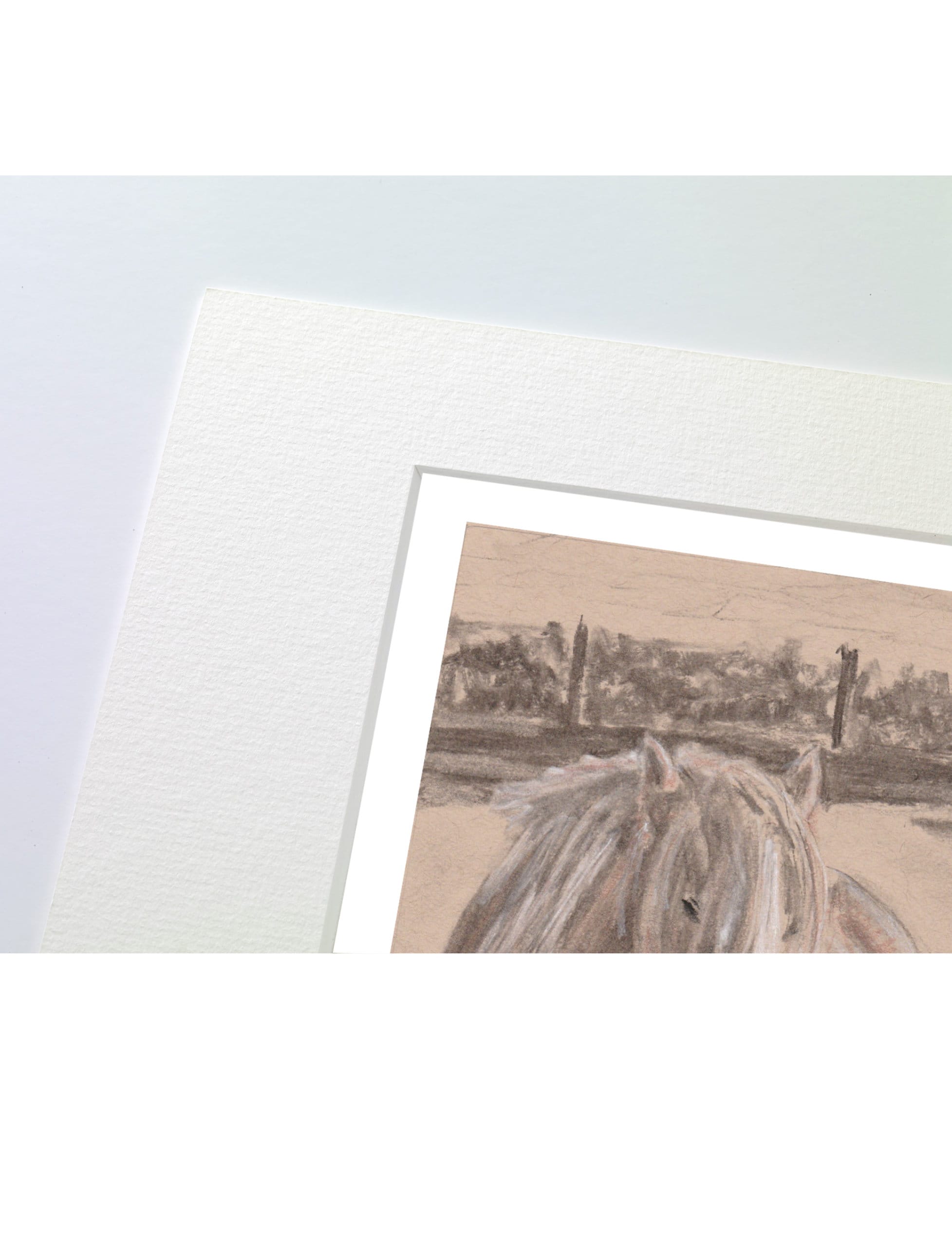 Goldie the palomino mounted art print