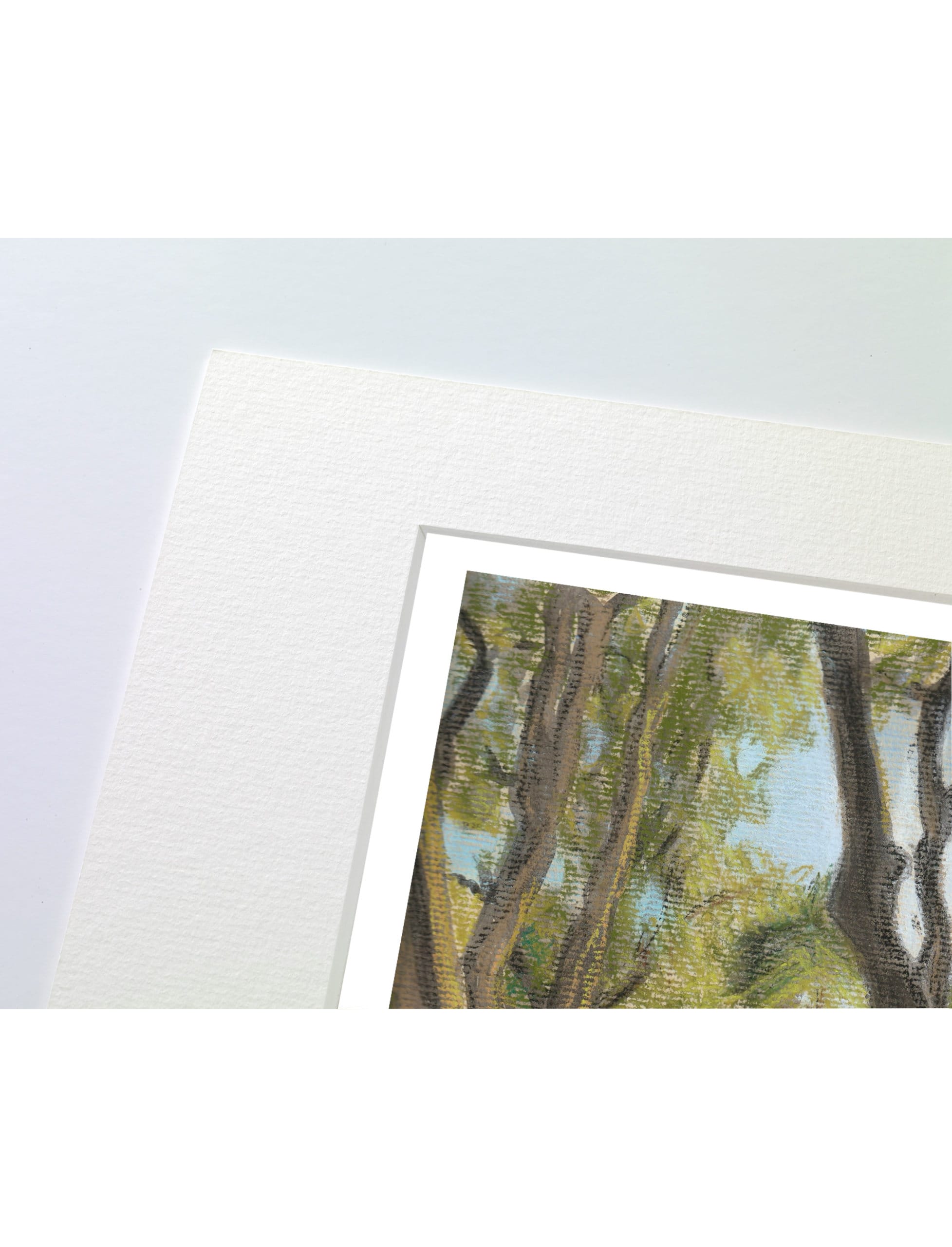 Path After Lines Mounted Art Print Summery Woodland Scene