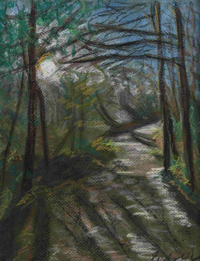 Last of the winter sunshine a pastel drawing by emily tellwright