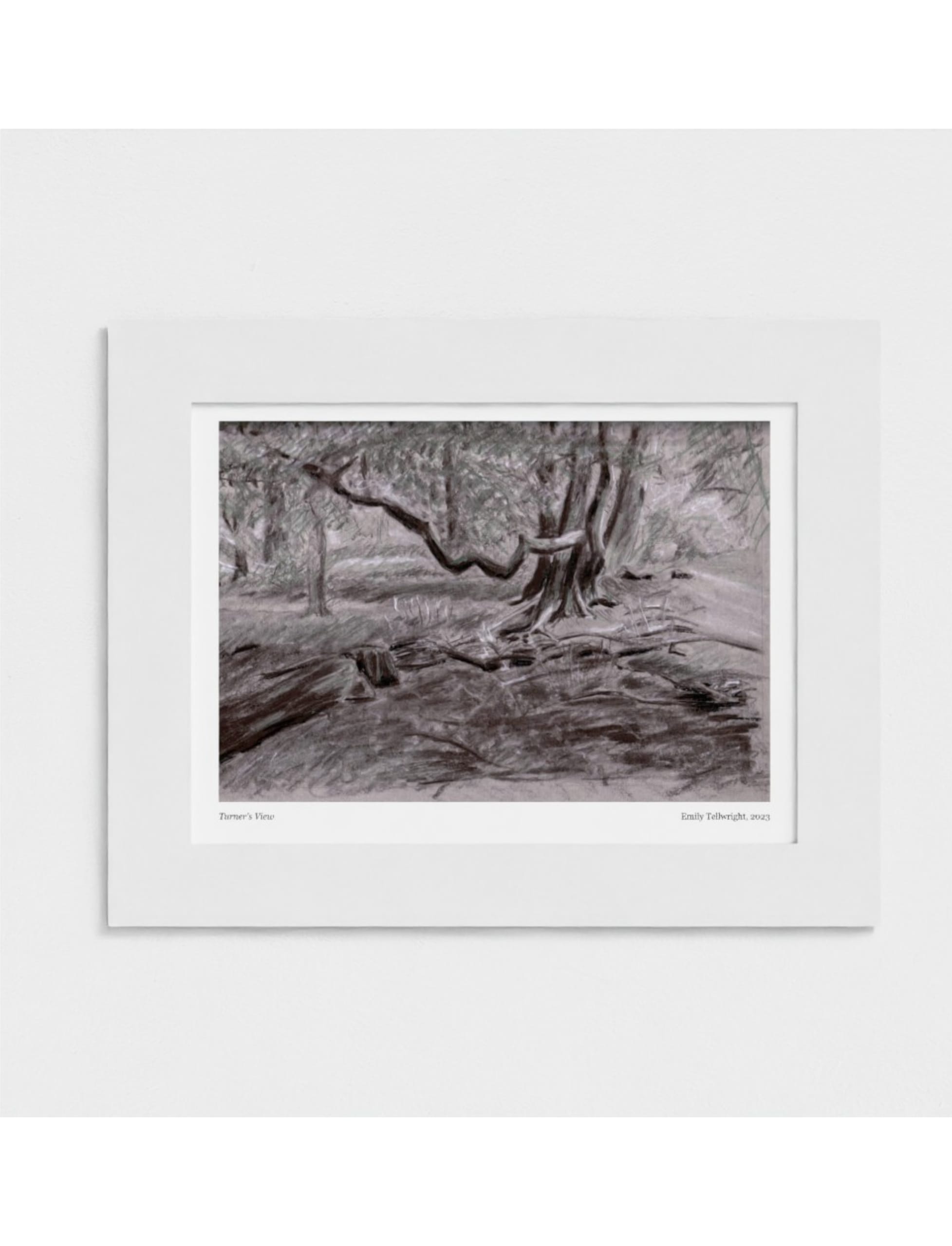 Turner's View Mounted Art Print